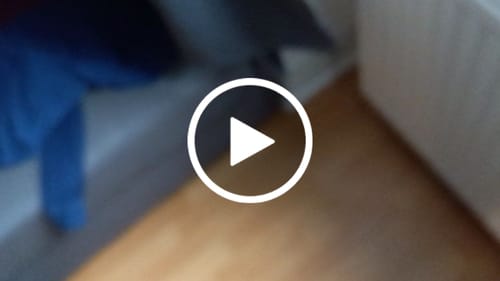 Customer video review of 🍬 Flower Power Gummies mit 42mg HHC 🍬