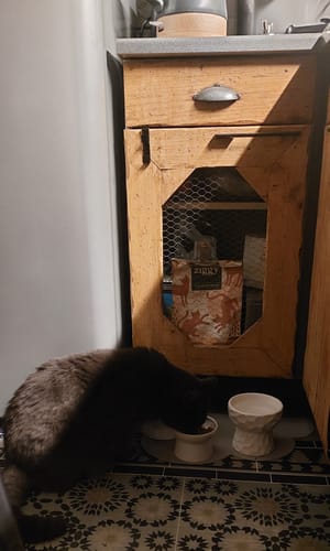 Avis photo d'un client sur Pâtée Chat Senior Sans Céréales - Boeuf