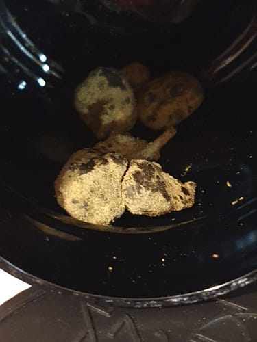 Customer photo review of 🌙 🪨 Moonrocks x 55% HHC