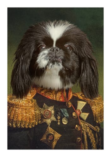 Customer photo review of The General - Custom Vintage Pet Portrait
