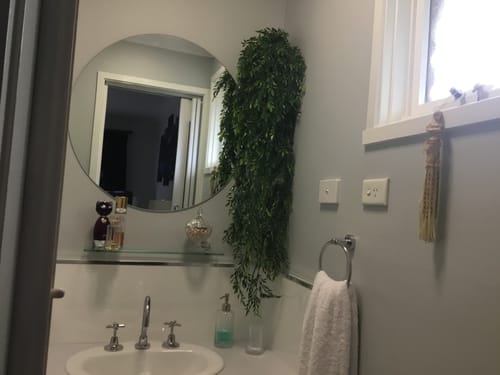 Customer photo review of Artificial Hanging Flowering Ruscus Leaf Plant UV Resistant 130cm