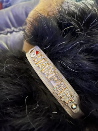 Customer photo review of CHRISTMAS DOG COLLARS WITH STUDDED JEWELRY