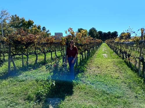 Customer photo review of Recorrido SCIELOMX