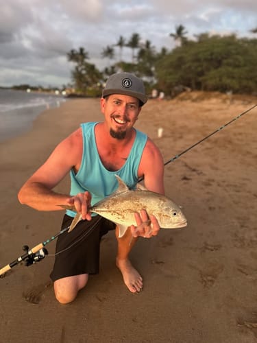 Customer photo review of 8Ft No Excuses Travel Rod with Tube Medium Action 1/2oz to 2oz