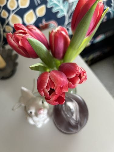 Customer photo review of VitalMax Jumbo Strength