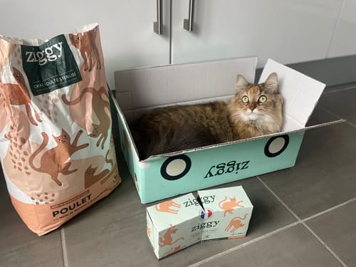 Avis photo d'un client sur Croquettes Chat Stérilisé Sans Céréales - Poulet