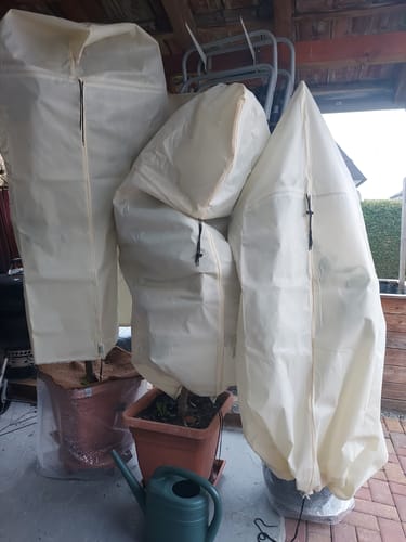 Customer photo review of Winterschutz für Kübelpflanzen XXL H 180 x B 120 cm Ø 76 cm