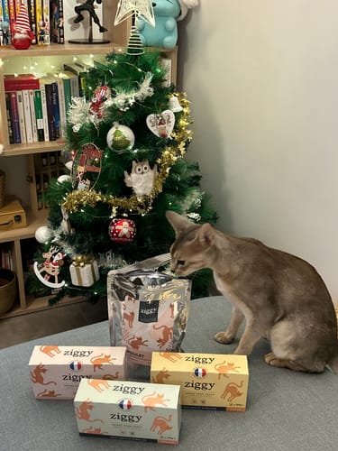 Avis photo d'un client sur Pâtée Chat Senior Sans Céréales - Boeuf