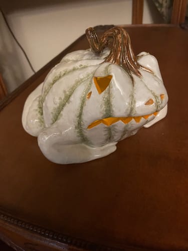 Customer photo review of Gourdon the Jack O’ Lantern Toad