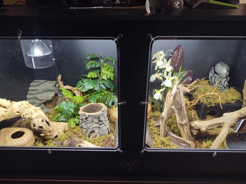 Customer photo review of XT4 BIO (48Lx24Dx24H) - STACKABLE
