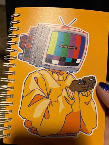 Customer photo review of TV Head Small Reusable Sticker Book