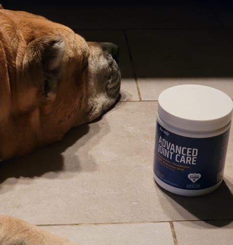 Customer photo review of Advanced Hip and Joint Supplement for Dogs - Level 3 Jointcare - 120 Soft Chews