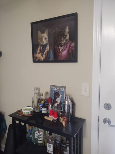 Customer photo review of The Count & The Countess – Custom Vintage Pet Portrait