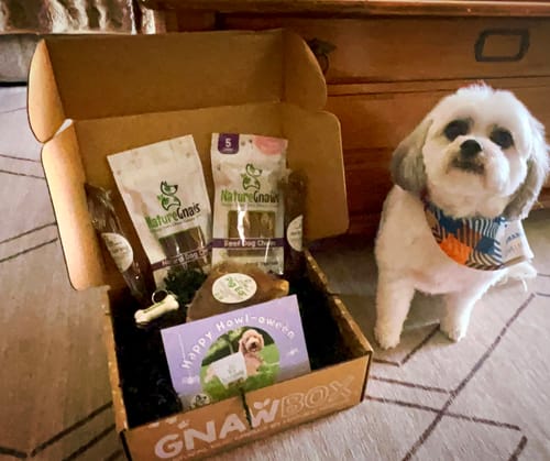Customer photo review of Small Gnaw Box
