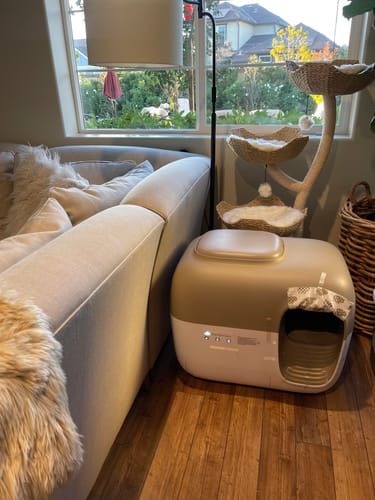 Customer photo review of Self-Cleaning Litter Box