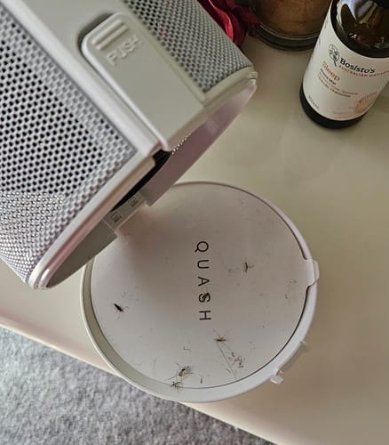 Customer photo review of Indoor Mosquito, Fruit Fly, & Gnat Trap