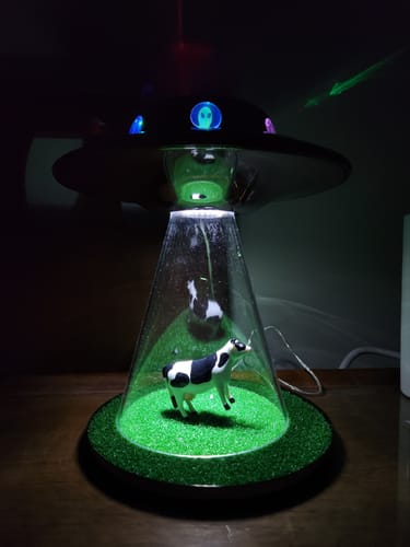 Customer photo review of The Original Alien Abduction Lamp