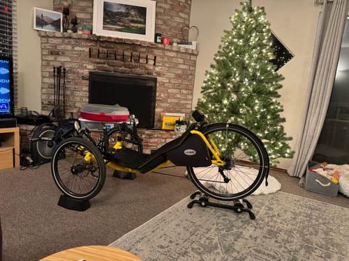 Customer photo review of Catrike Neckrest Kit (T-Cycle QR Mount)