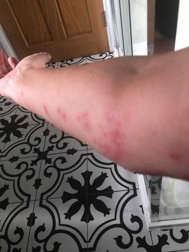 Customer photo review of Multi Strain Biotic