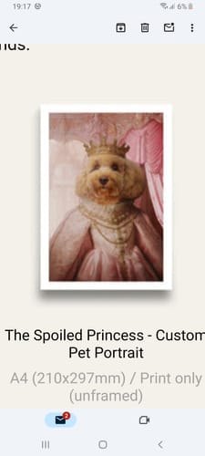 Customer photo review of The Spoiled Princess - Custom Pet Portrait