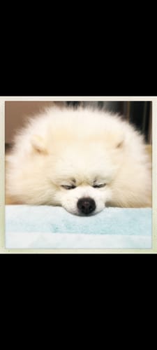 Customer photo review of Momomi® Mat (Turquoise)