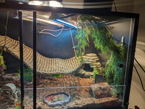 Customer photo review of Black 4'x2'x2' Meridian PVC Reptile Enclosure
