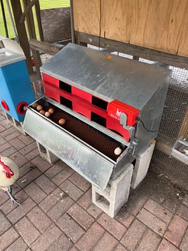 Customer photo review of Small (24") Reversible Rollout Nest Box (Up to 20 Hens) - Premium Grade - Ready to Ship!