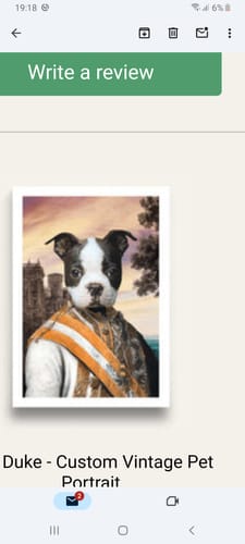 Customer photo review of The Duke - Custom Vintage Pet Portrait