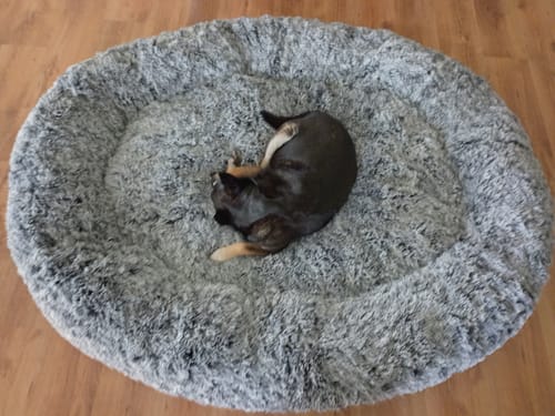 Customer photo review of The Human Size Nap Bed