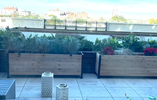 Customer photo review of 18" x 72" Planter Box - 24" Tall