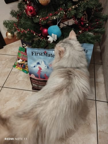 Customer photo review of Crocchette gatto formula Anatra e Mirtilli