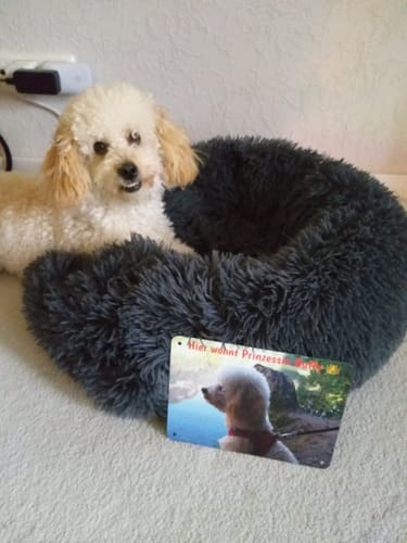Customer photo review of Hunde-Türschild mit Foto & Wunschtext (UV- UND WETTERFEST)