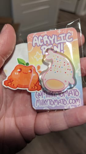 Customer photo review of Cute Sea Cookie Acrylic Pins 1.5in