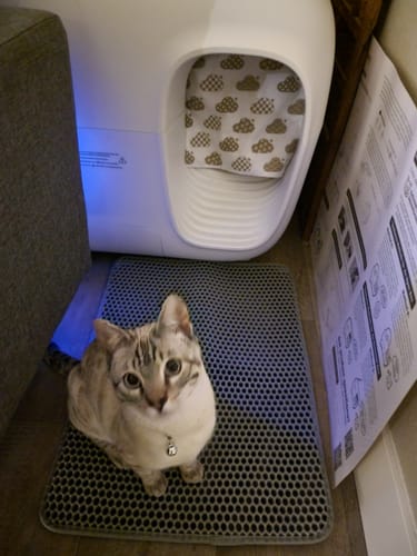 Customer photo review of Self-Cleaning Litter Box