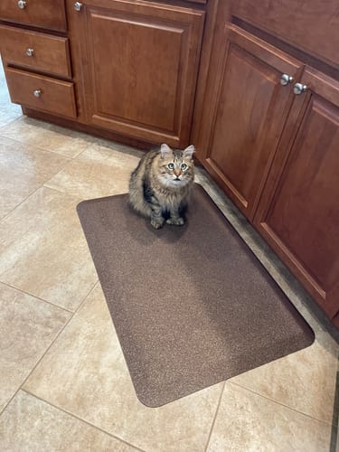 Pat T. review of Granite Classic – Copper image 1 out of 1