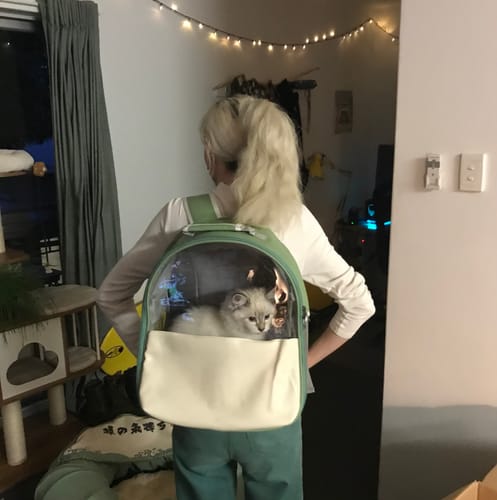 Customer photo review of Leather Backpack Style Cat Carrier With Transparent Window