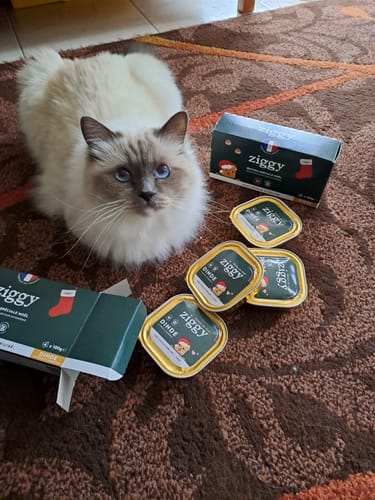 Avis photo d'un client sur Pâtée de Noël Chat Sans Céréales - Dinde