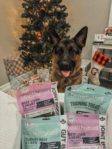Customer photo review of Beef Mini Training Treats