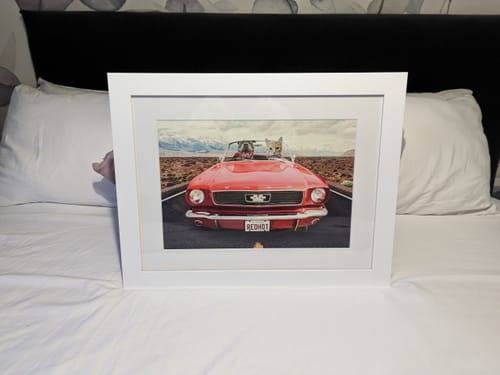 Customer photo review of The Road Trip - Custom Pet Portrait