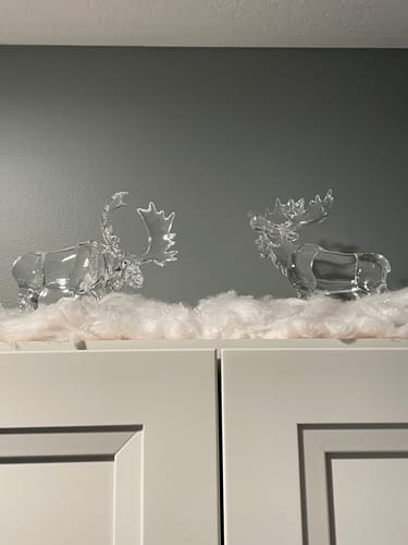 Customer photo review of Moose Pair