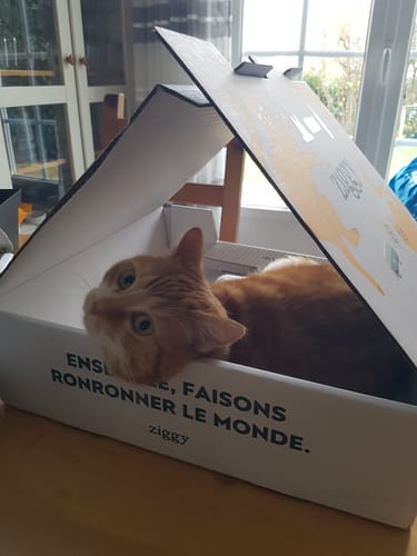 Avis photo d'un client sur Croquettes Chat Stérilisé Sans Céréales - Poulet
