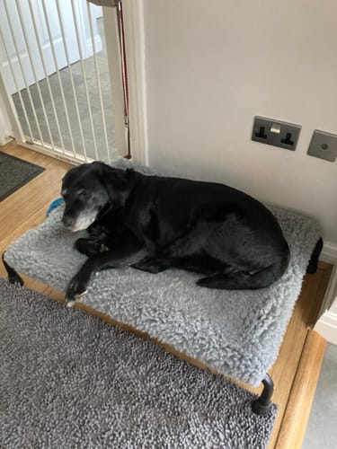 Customer photo review of Grey Cosy Sleeve