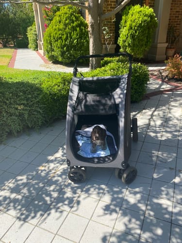 Customer photo review of PaWz Pet Stroller 4 Wheel