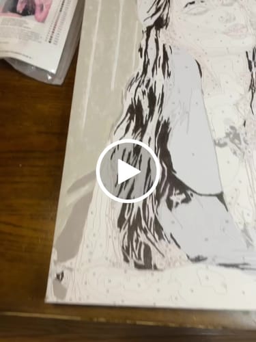 Customer video review of YOUR PHOTO AS PAINT BY NUMBERS (FRAMED OPTION)