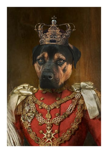 Customer photo review of The Prince - Custom Vintage Pet Portrait
