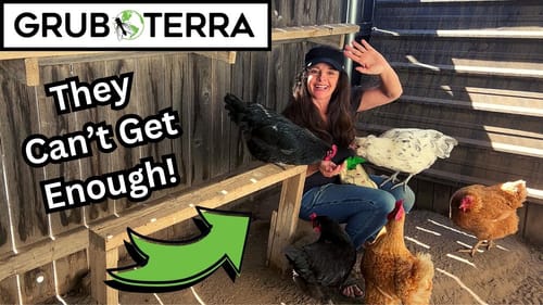 Customer photo review of GrubTerra Dried Larvae