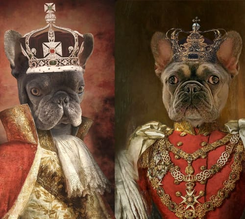 Customer photo review of The Prince - Custom Vintage Pet Portrait
