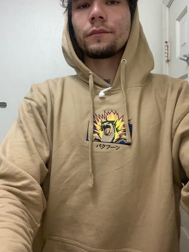 Customer photo review of Typo Explosion Embroidered Hoodie