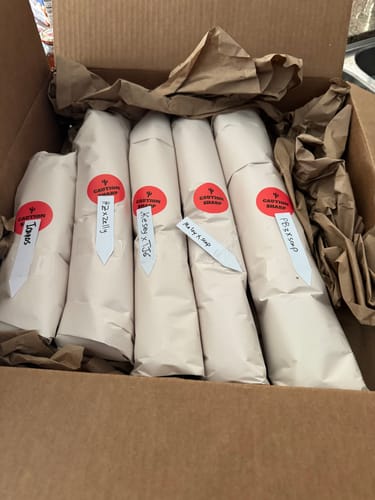 Customer photo review of Cactus Collector Variety Packs | Trichocereus Cactus Variety Packs