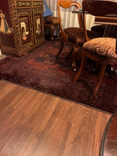 Customer photo review of Petsly Spray anti-urina para cães e gatos - Orgânico - 500 ml - dupla ação: Repele Urina e elimina maus odores